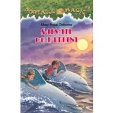 SALVATI DE DELFINI. PORTALUL MAGIC NR. 9