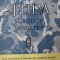 Splina si bolile sangelui - Alexandru Pop , Aurel Nana , ...