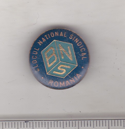 bnk ins Romania - BNS