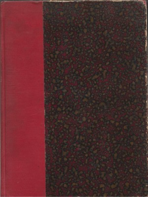 MSPN71 Colegat Academia Rom&amp;acirc;nă, 1910-1914, 22 lucrări de I Pușcariu, N Iorga, At Marienescu, I Ursu, I Lupaș, I C Filitti, D Zamfirescu și N Docan foto