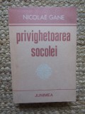 Privighetoarea socolei - Nicolae Gane