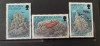 PITCAIRN ISLANDS 1994 Fauna marina/ Pesti Corali, serie + colita MNH, 3v+1v, Nestampilat