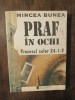Praf &icirc;n ochi. Procesul celor 24-1-2 - Mircea Bunea