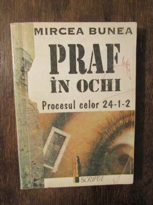 Praf &amp;icirc;n ochi. Procesul celor 24-1-2 - Mircea Bunea foto