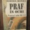 Praf &icirc;n ochi. Procesul celor 24-1-2 - Mircea Bunea