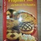 Prajituri pentru sarbatori in familie