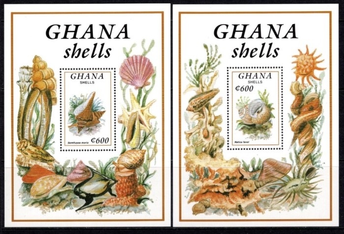 GHANA 1992 FAUNA MARINA SCOICI
