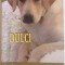 DULCI : JURNALUL UNUI CAINE SCRIS DE UN PURIC DAN , 2015