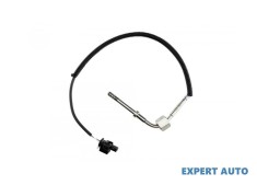 Senzor temperatura gaze dpf Mercedes M-Class (2005-2011) [W164] #1