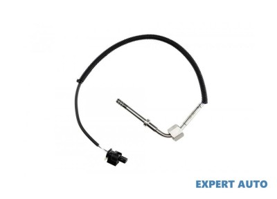 Senzor temperatura gaze dpf Mercedes M-Class (2005-2011) [W164] #1 foto