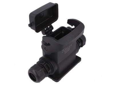 Carcasă pentru Conectori HDC Han-Eco B 10B Drept foto