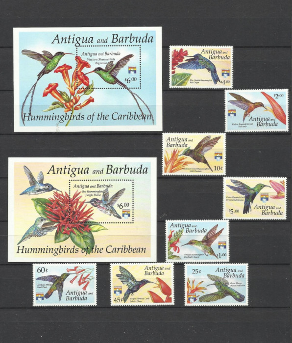 ANTIGUA 1992 FAUNA PASARI COLIBRI