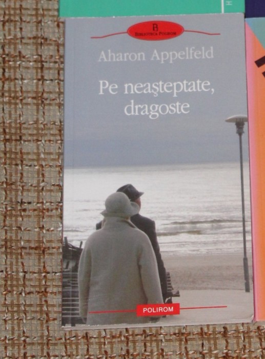 Aharon Appelfeld - Pe neasteptate, dragoste