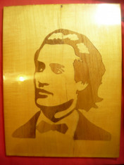 Tablou vechi pe lemn de cires - Mihai Eminescu , dim.= 25,5x34 cm foto