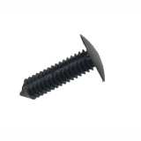 Clema, clips Citroen Saxo 04; Fiat Croma 10; Ford Mustang 23; Peugeot 106 03, 406 04, 607 10; fixare tapiterie, 699540, 735495562, W7090SSC, set 10