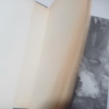 PESTI SI CETACEE DIN MAREA LIGURICA(LIMBA ITALIANA)-ENRICO TORTONESE-1965 S2.
