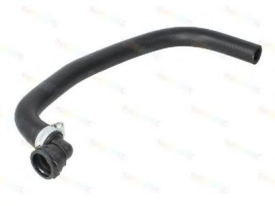 Palnie, filtru de aer RENAULT SCENIC II (JM0/1) (2003 - 2009) THERMOTEC DCR067TT foto