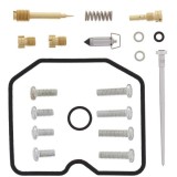 Kit reparatie carburator; pentru numarul de carburatoare 1 (pentru uz sportiv) pentru ARCTIC CAT ARCTIC CAT 300 2001-2005