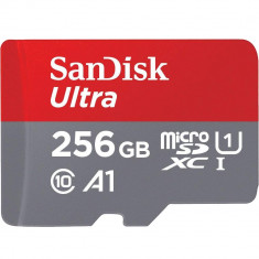 Card Memorie MicroSDXC Ultra 256GB foto