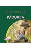 Padurea - Marian Godina