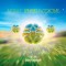 The Orb and David Gilmour Metallic Spheres In Colour LP (vinyl)