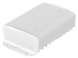Carcasă desktop BOPLA BoVersa albă 120x216x55 mm IP66/IP68