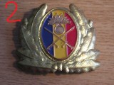 QW14 - Emblema militara / cuc - uscat - anii 1990 - piesa de colectie
