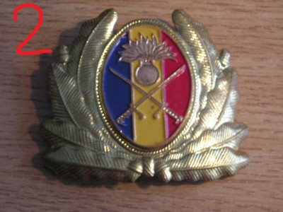 QW14 - Emblema militara / cuc - uscat - anii 1990 - piesa de colectie foto