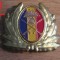 QW14 - Emblema militara / cuc - uscat - anii 1990 - piesa de colectie