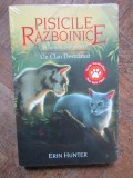 Pisicile razboinice Vol.33: Un clan destramat - Erin Hunter