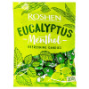 Dropsuri Roshen Eucalyptus, 200g, Gust de Eucalipt si Mentol, Dropsuri Mentolate, Dropsuri de Eucalipt, Dropsuri Roshen, Dropsuri Roshen Mentol, Drops