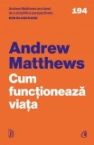 Cum funcționează viața - Paperback brosat - Andrew Matthews - Curtea Veche