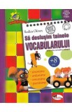 Sa deslusim tainele vocabularului - Rodica Chiran