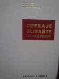 Tudor Dinescu - Cofraje glisante. Tehnica si utilizari (Editia: 1970)