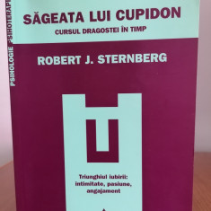 Robert J. Sternberg, Săgeata lui Cupidon. Cursul dragostei în timp