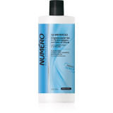 Brelil Professional Elasticizing &amp; Frizz-Free Shampoo sampon pentru par cret 1000 ml