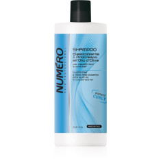 Brelil Professional Elasticizing & Frizz-Free Shampoo sampon pentru par cret 1000 ml