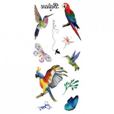 Tatuaj temporar Colourful Birds, Culoare Negru, 9x19 cm, pentru piele foto