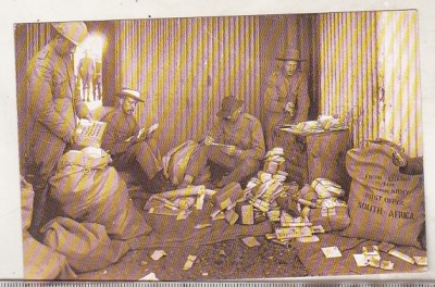 bnk cp Militare - Razboiul Transvaal - Soldati citind scrisori foto