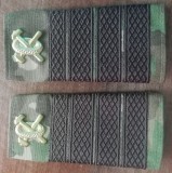 C3 - Grade militare - mozaic padure - plutonier adjutant principal auto