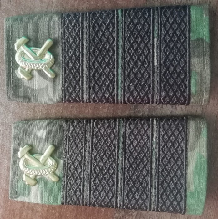 C3 - Grade militare - mozaic padure - plutonier adjutant principal auto