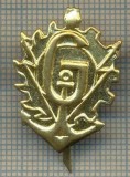 Y 1791 INSIGNA - MILITARA -SEMN DE ARMA - GENIU -PENTRU COLECTIONARI