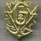 Y 1791 INSIGNA - MILITARA -SEMN DE ARMA - GENIU -PENTRU COLECTIONARI