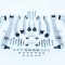 Set Brate Audi A6(4F2) 59430 NGH 01.08.006