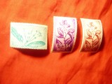 Serie Rio Muni colonie spaniola 1964 - FLORA , 3 valori, Nestampilat
