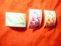 Serie Rio Muni colonie spaniola 1964 - FLORA , 3 valori foto