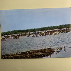 Carte poștală Delta Dunării