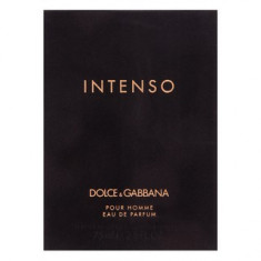 Dolce &amp;amp;amp; Gabbana Pour Homme Intenso eau de Parfum pentru barbati 75 ml foto