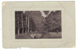 Carte postala circulata de la Botosani la Belcesti prin Podu Iloaiei 1909 Iasi, Fotografie