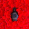 CREED LOVE IN BLACK 75ml | Parfum Tester+ CADOU